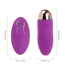 Remote Controlled Wireless Vibrating Egg